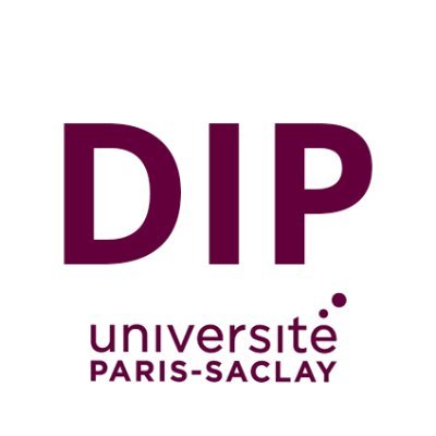 logo_DIP